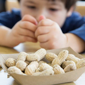 Food and Drug Allergy Specialist